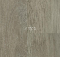 Линолеум Forbo SureStep Wood 18982 shadow oak фото 1 | FLOORDEALER